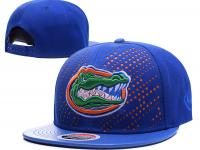 Florida Gators Snapback Hat (4)