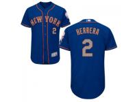 MLB New York Mets #2 Dilson Herrera Men Royal-Grey Authentic Flexbase Collection Jersey