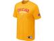 Chicago Cubs Yellow Nike Short Sleeve Practice T-Shirt
