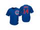 Youth Cubs 2018 Postseason Alternate Royal Ernie Banks Cool Base Jersey