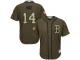 Youth Red Sox #14 Jim Rice Green Salute to Service Stitched Baseball Jersey
