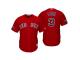 Youth Red Sox 2018 Postseason Alternate Scarlet Sandy Leon Cool Base Jersey